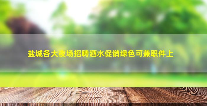 盐城各大夜场招聘酒水促销绿色可兼职件上